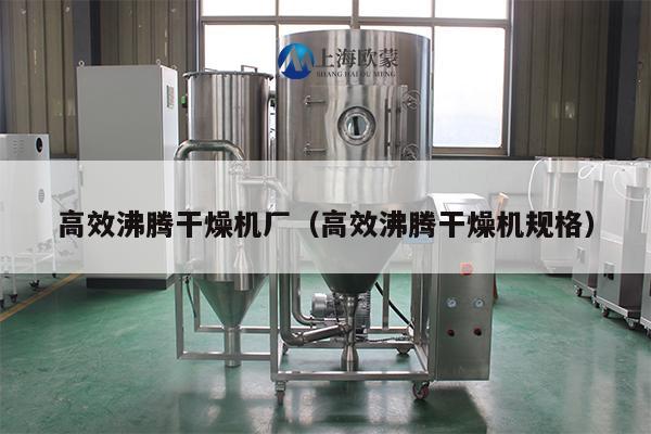 高效沸腾干燥机厂（高效沸腾干燥机规格）